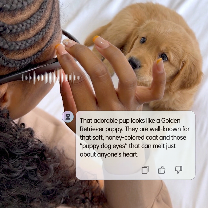AI That Understands What You See